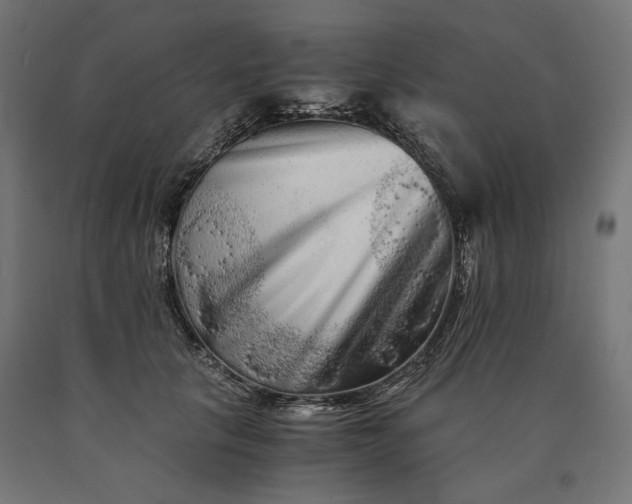 X0000090720657200708031502