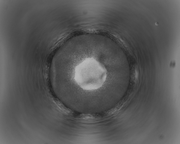X0000090720658200708031502