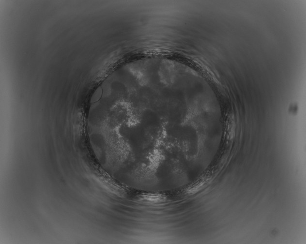 X0000090720659200708031502