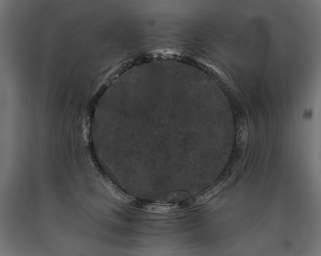 X0000090720661200708031502