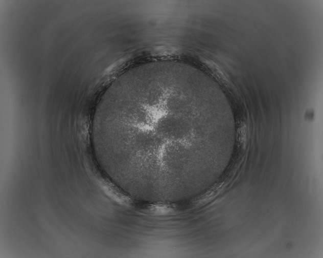 X0000090720662200708031502