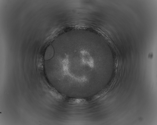 X0000090720663200708031502