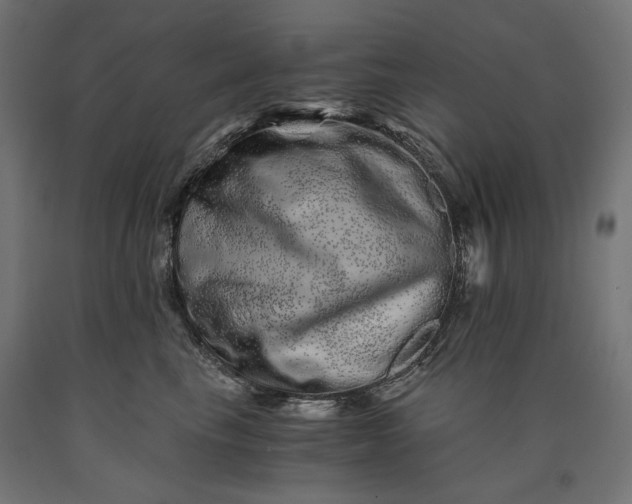 X0000090720665200708031502