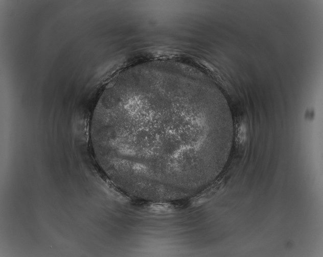 X0000090720666200708031502