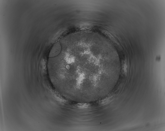 X0000090720667200708031502