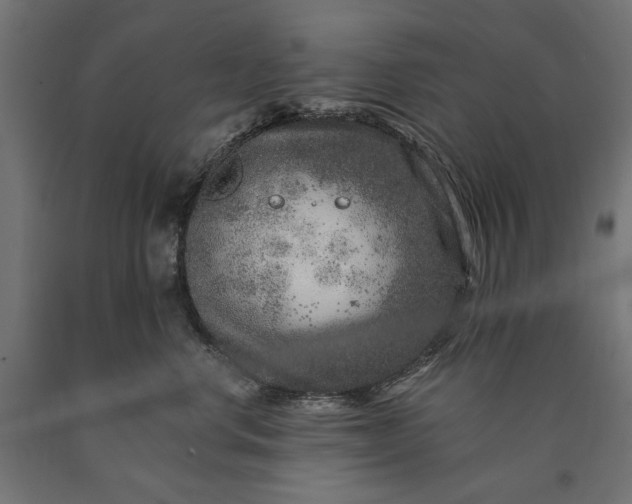 X0000090720668200708031502