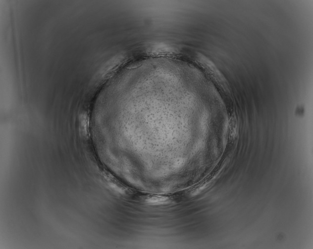 X0000090720669200708031502