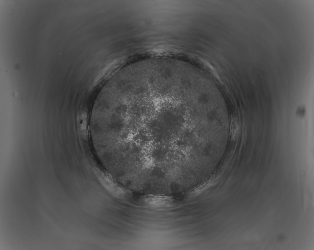 X0000090720670200708031502