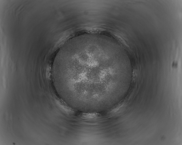 X0000090720671200708031502