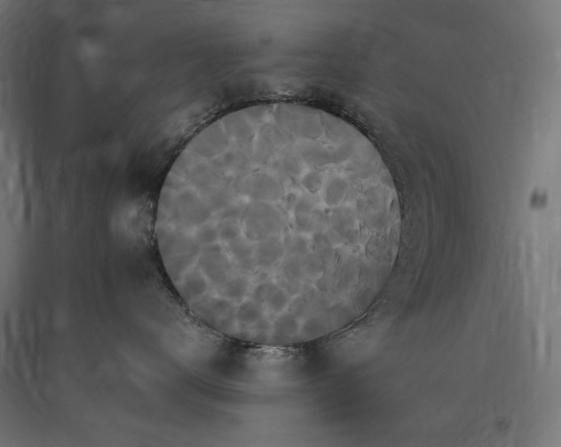 X0000090720672200708031502