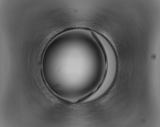 X0000090720673200708031501