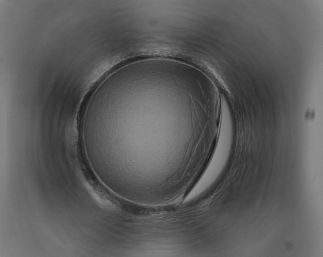 X0000090720674200708031501