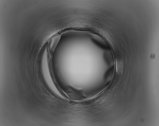 X0000090720675200708031501
