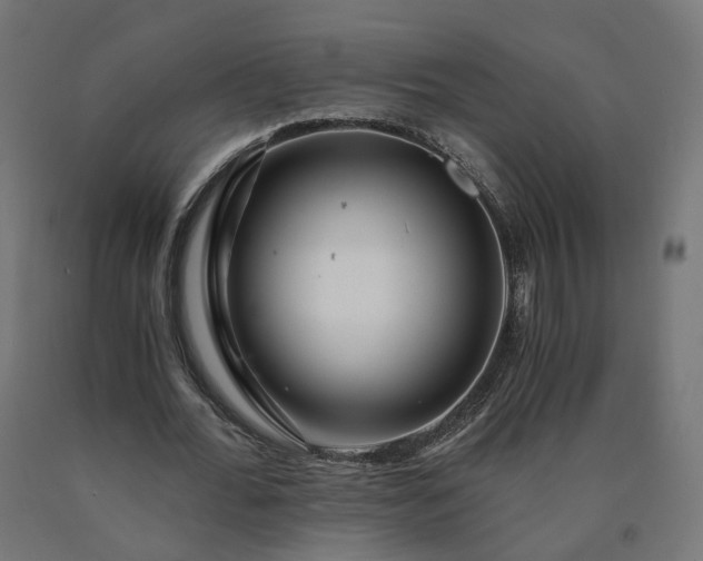 X0000090720676200708031501