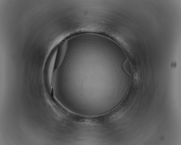 X0000090720678200708031501