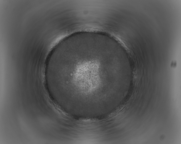 X0000090720679200708031501