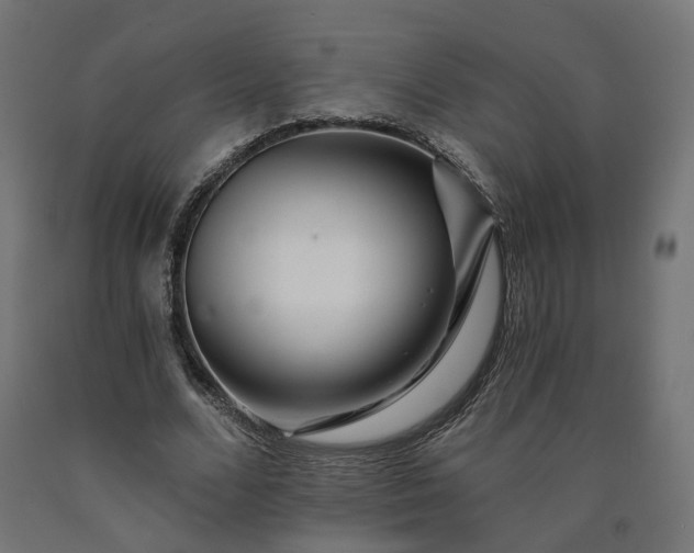 X0000090720680200708031501