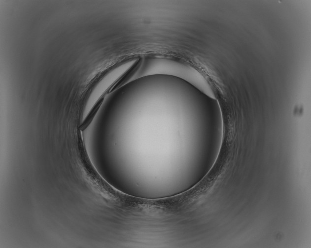 X0000090720681200708031501