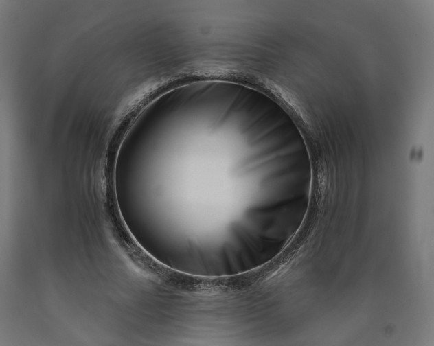 X0000090720682200708031501