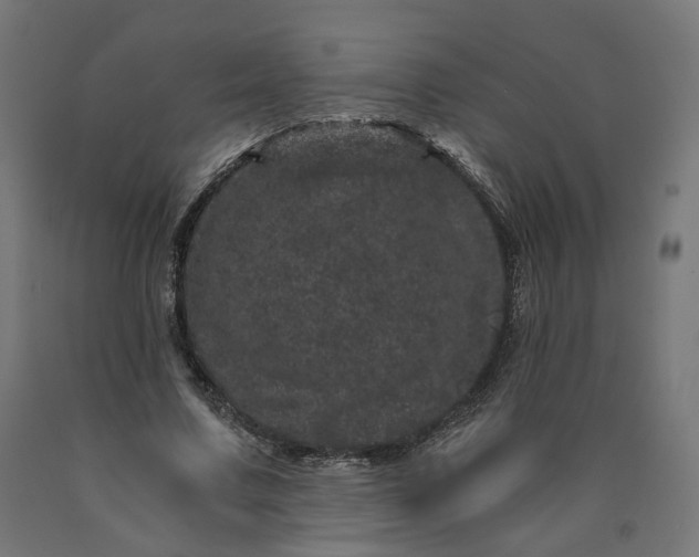 X0000090720683200708031501