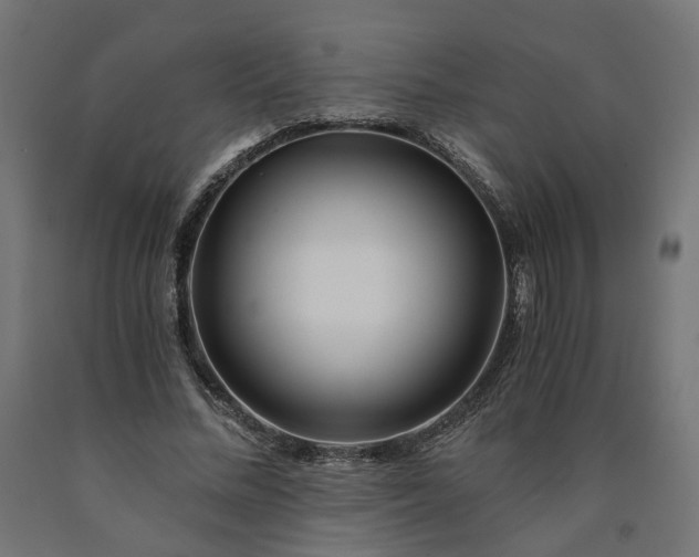 X0000090720684200708031501