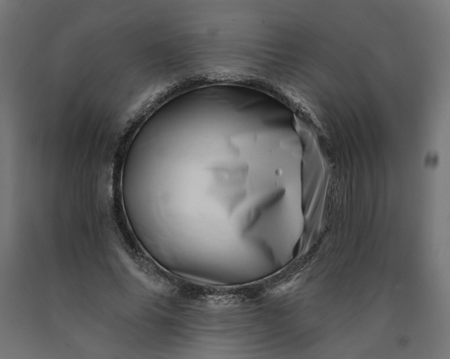 X0000090720686200708031501