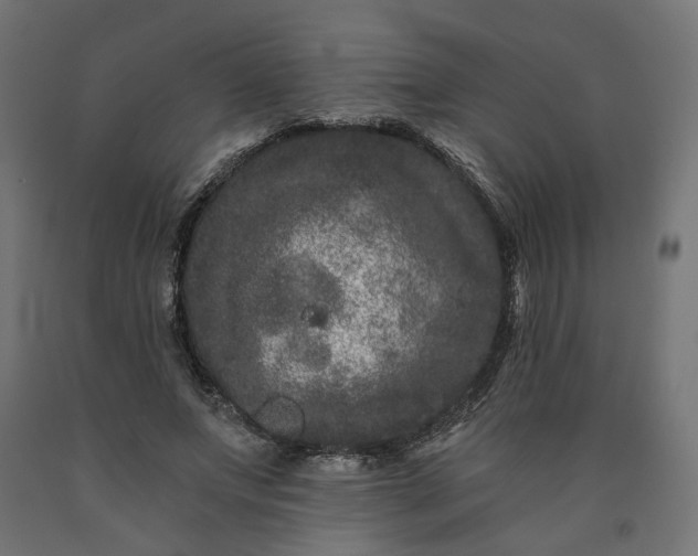 X0000090720687200708031501