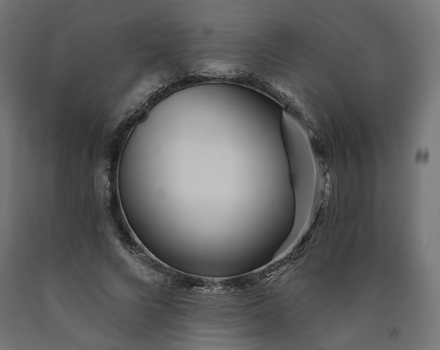 X0000090720688200708031501