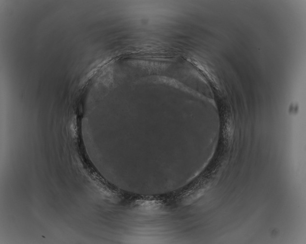 X0000090720689200708031501