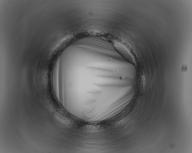 X0000090720690200708031501