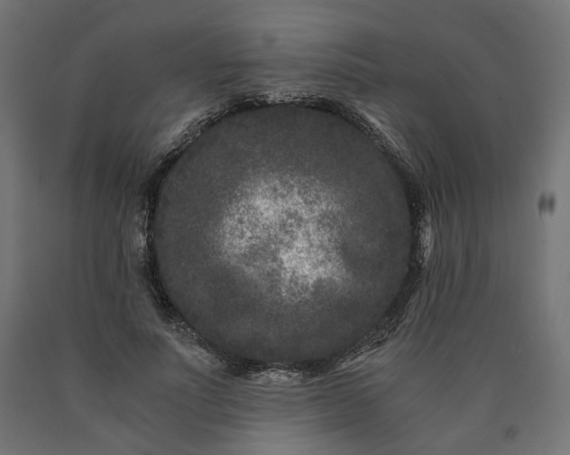 X0000090720691200708031501