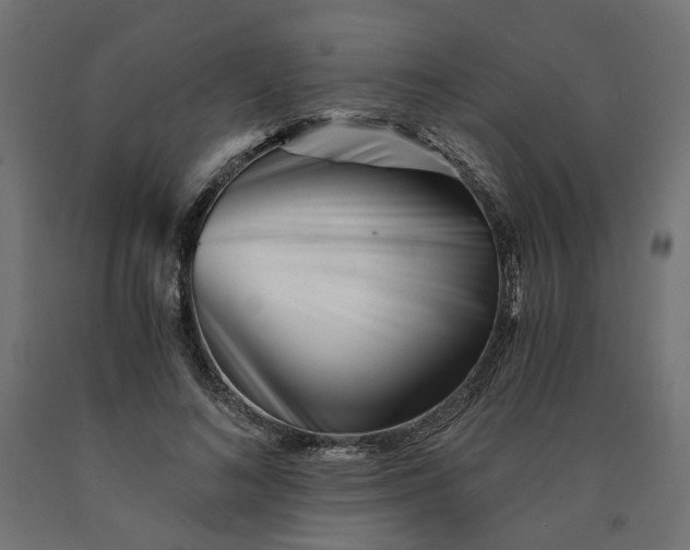 X0000090720692200708031501