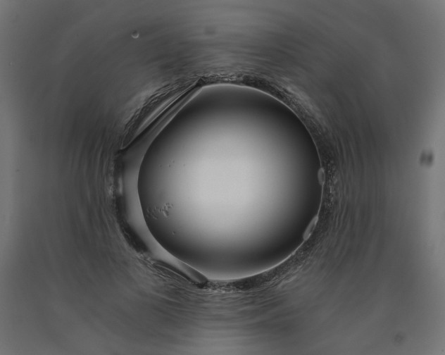 X0000090720693200708031501