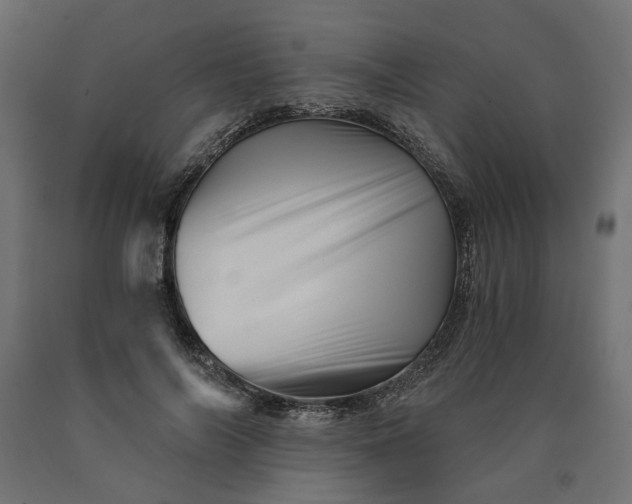 X0000090720694200708031501