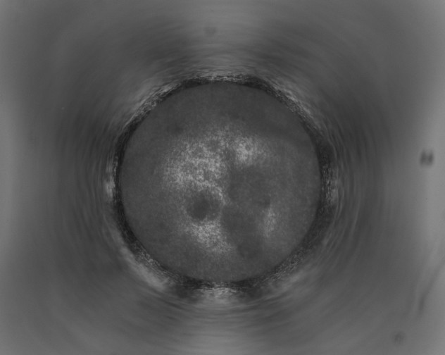 X0000090720695200708031501