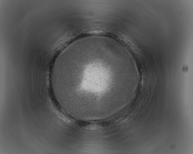 X0000090720696200708031501
