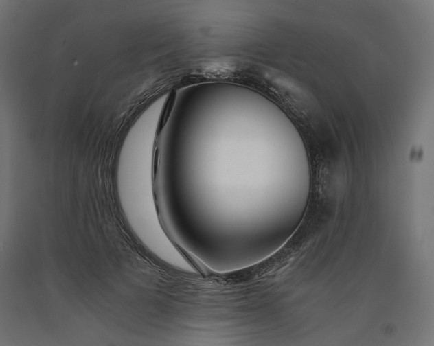 X0000090720697200708031501