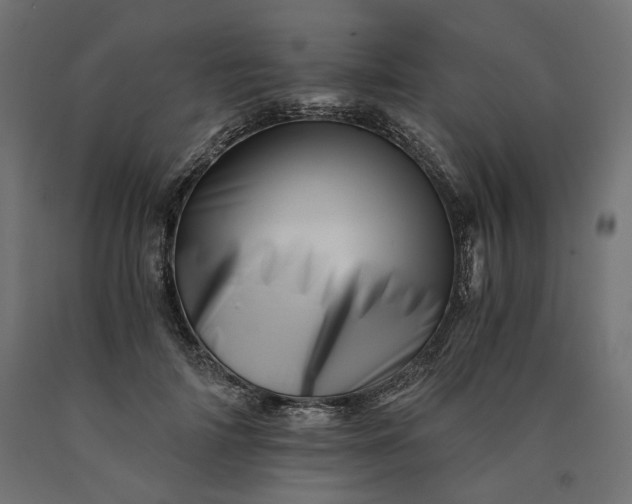 X0000090720698200708031501