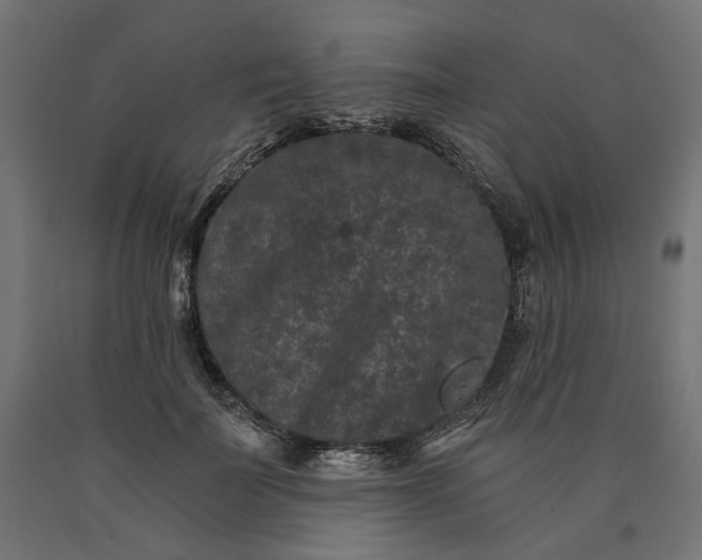 X0000090720699200708031501