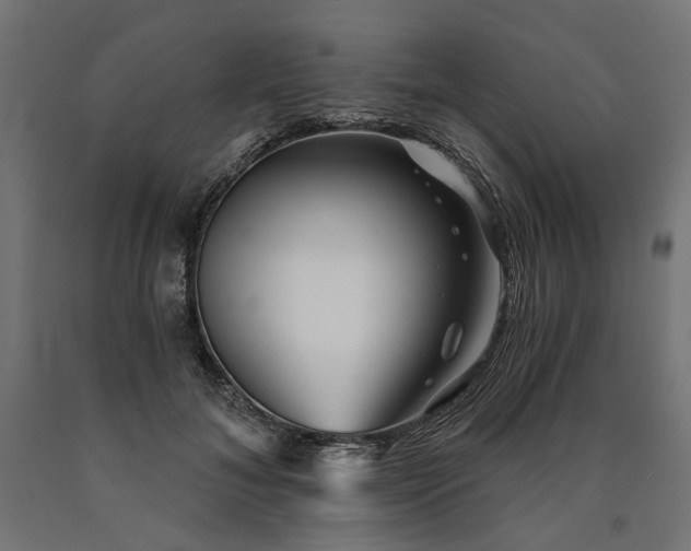 X0000090720700200708031501