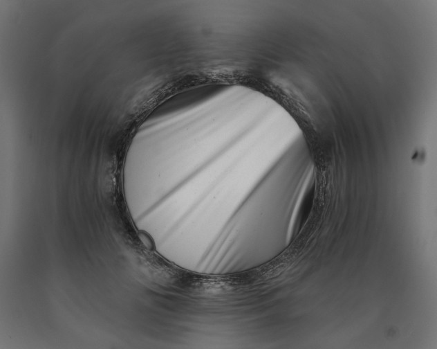X0000090720702200708031501