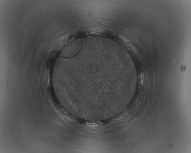 X0000090720703200708031501