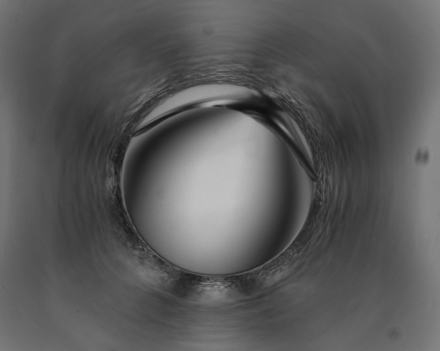 X0000090720704200708031501