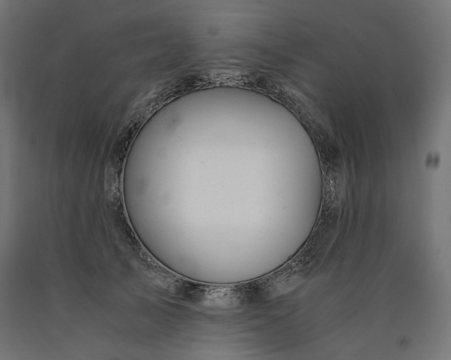X0000090720705200708031501