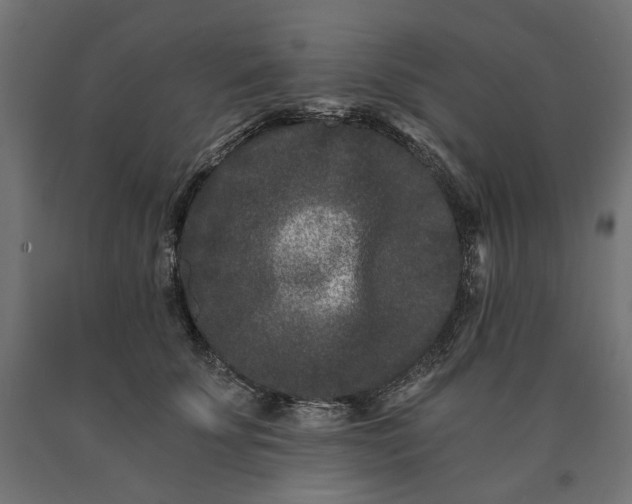 X0000090720707200708031501
