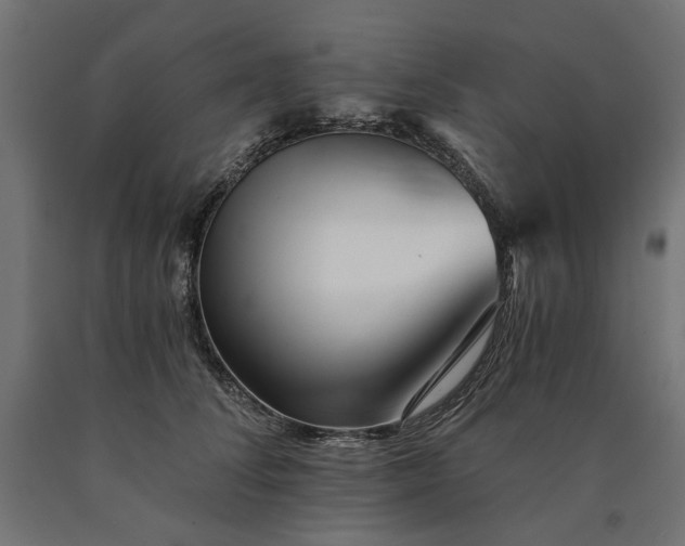 X0000090720708200708031501