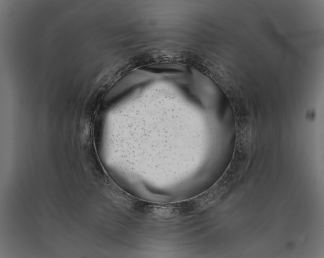 X0000090720709200708031501