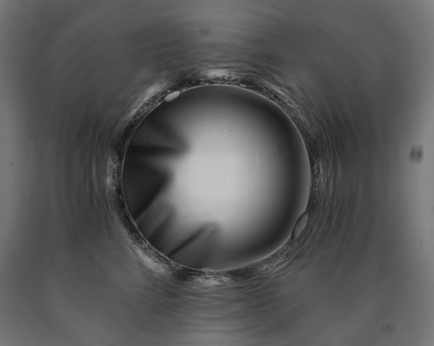 X0000090720712200708031501