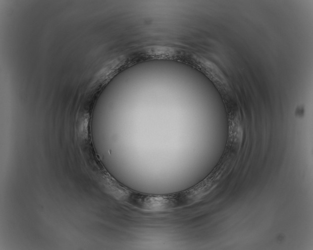 X0000090720717200708031501