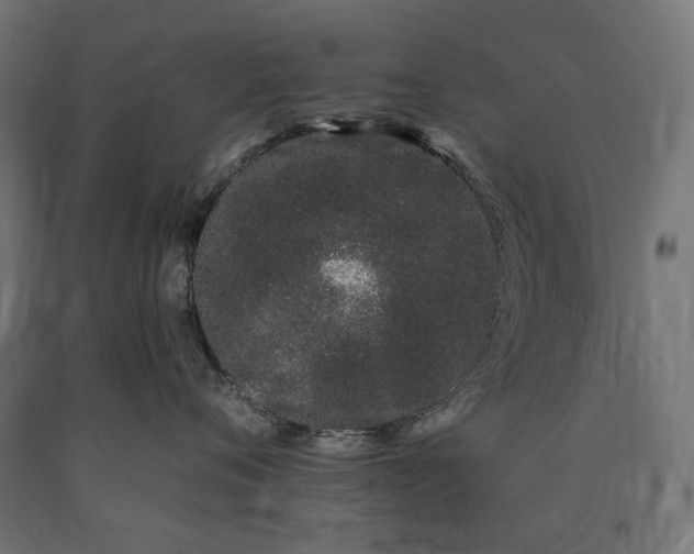 X0000090720720200708031500